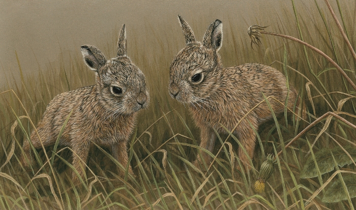 leveret painting inspired by spring