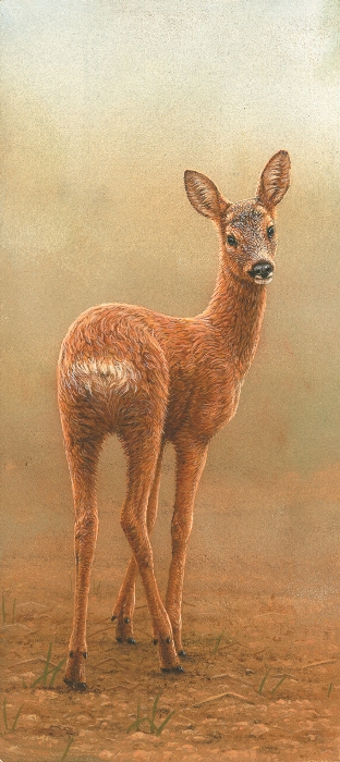 Roe Deer Fawn painted by Robert E Fuller