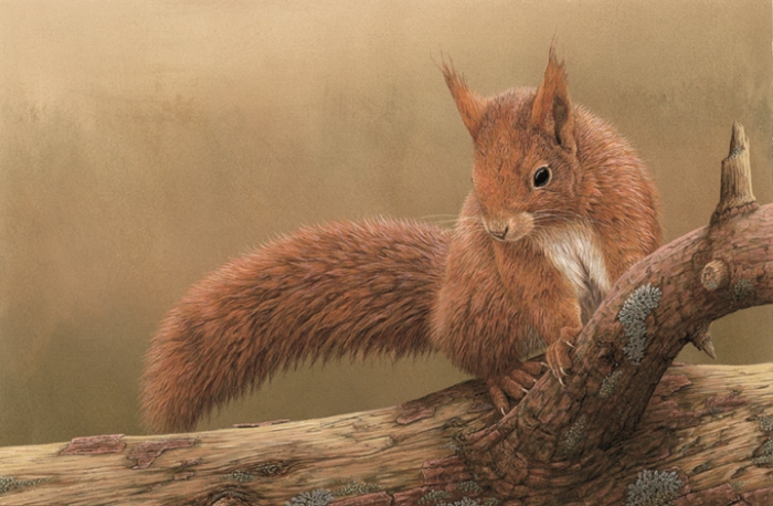 Red Squirrel painted by Robert E Fuller