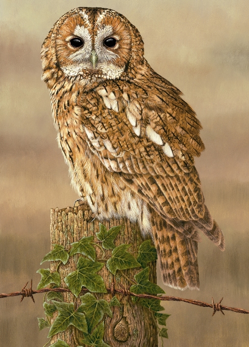 Owl painting by Robert E Fuller
