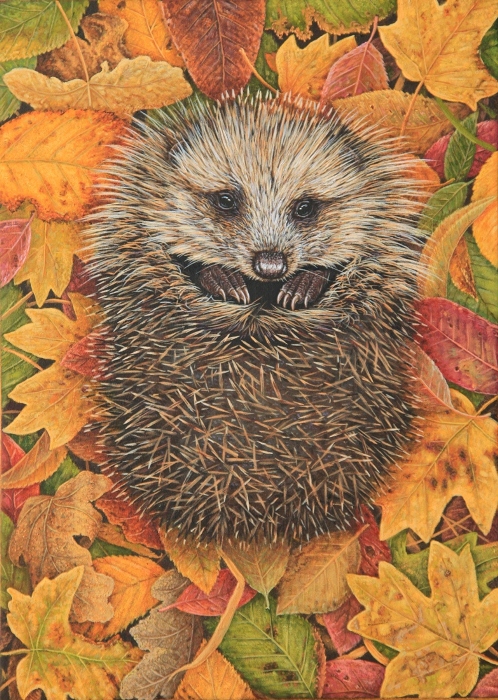 Hedgehog painting by Robert E Fuller