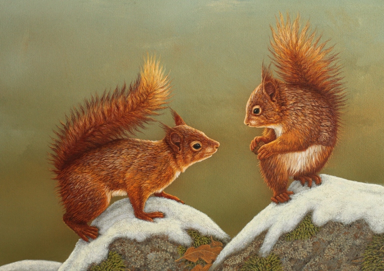 original wildlife paintings by Robert E Fuller, squirrels