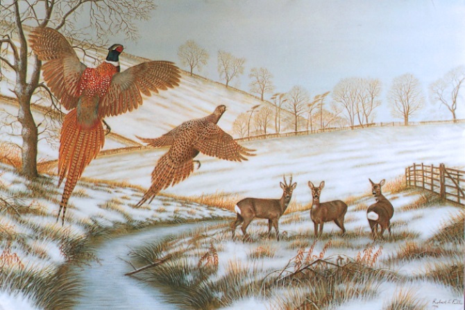 oritginal wildlife painting by Robert E Fuller Pheasants 
