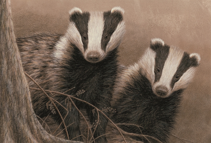 woodland wildlife, badgers by artist Robert E Fuller