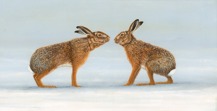 original wildlife paintings by Robert E Fuller hares
