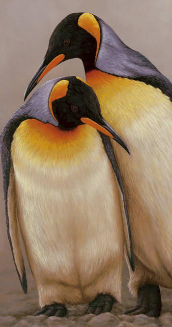 original wildlife paintings by Robert E Fuller, penguins