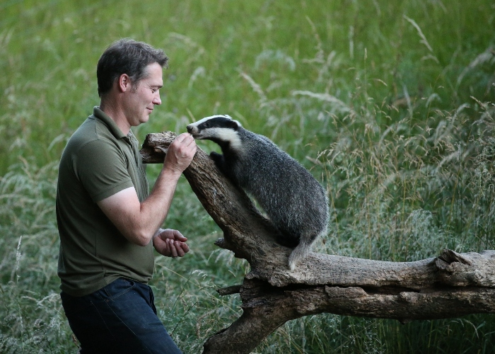 robert fuller artist feeding badgers