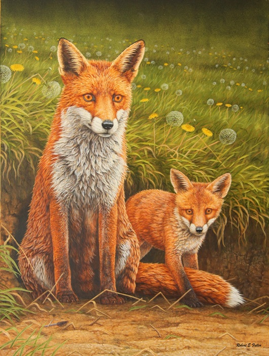 painting by robert e fuller of fox and cub sitting against a grassy knoll covered in dandelion flowers