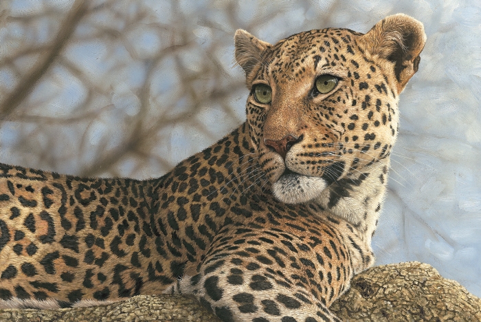painting of the week: leopard by robert e fuller