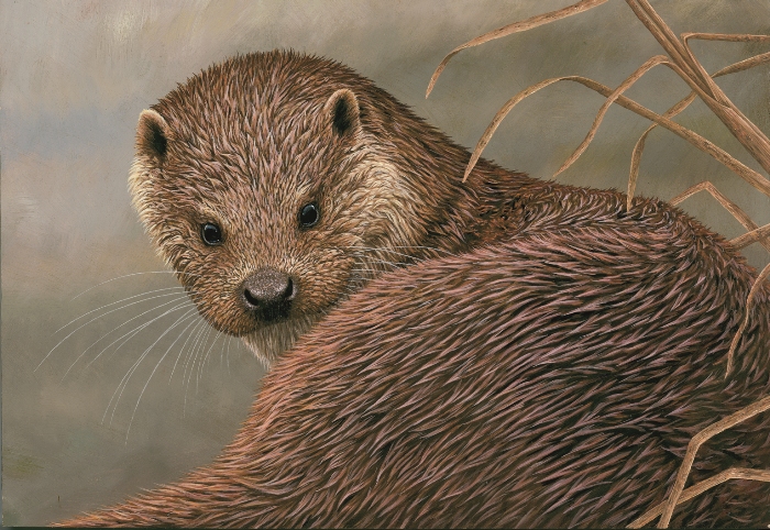 Otter painting by Robert E Fuller