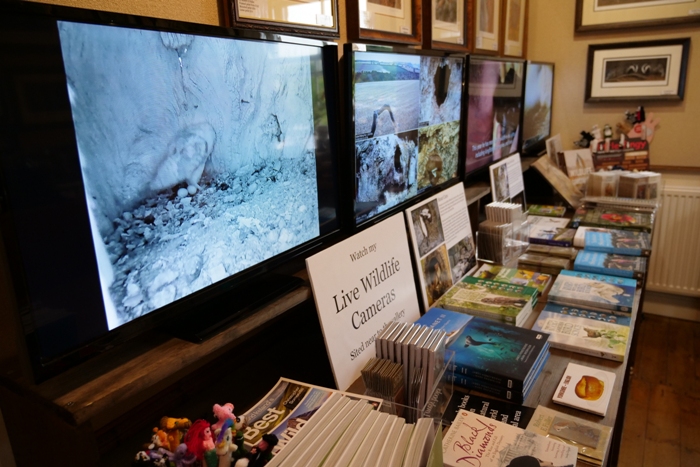 Live screens at my wildlife art exhibition