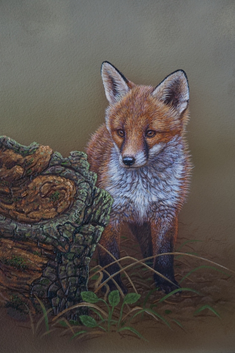 wildlife painting of the week fox cub original