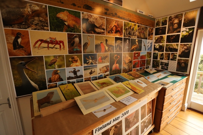 art exhibition photo displays