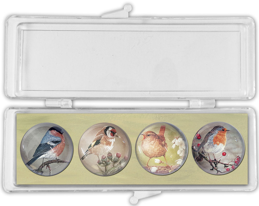 British Wildlife Fridge Magnets Cute Animal Bird Nature Plaque Kitchen Home Gift