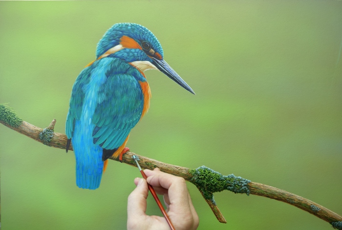 original wildlife paintings kingfisher