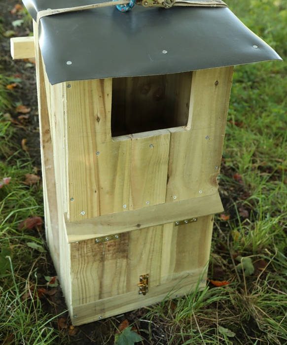 the best nest box for tawny owls