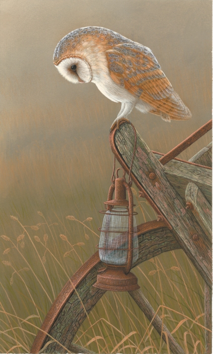 barn owl painting inspired by nestcams