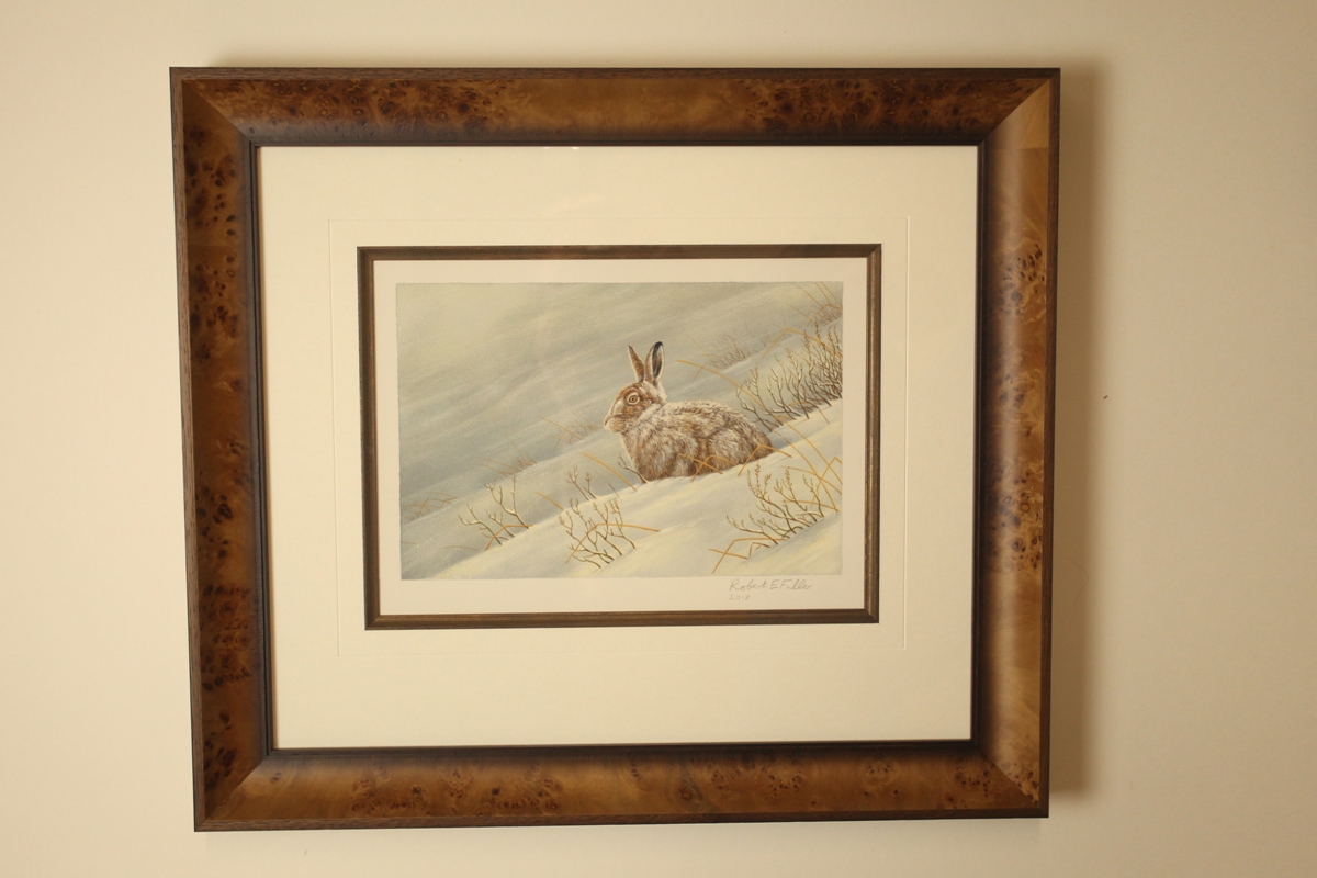 original painting of mountain hare