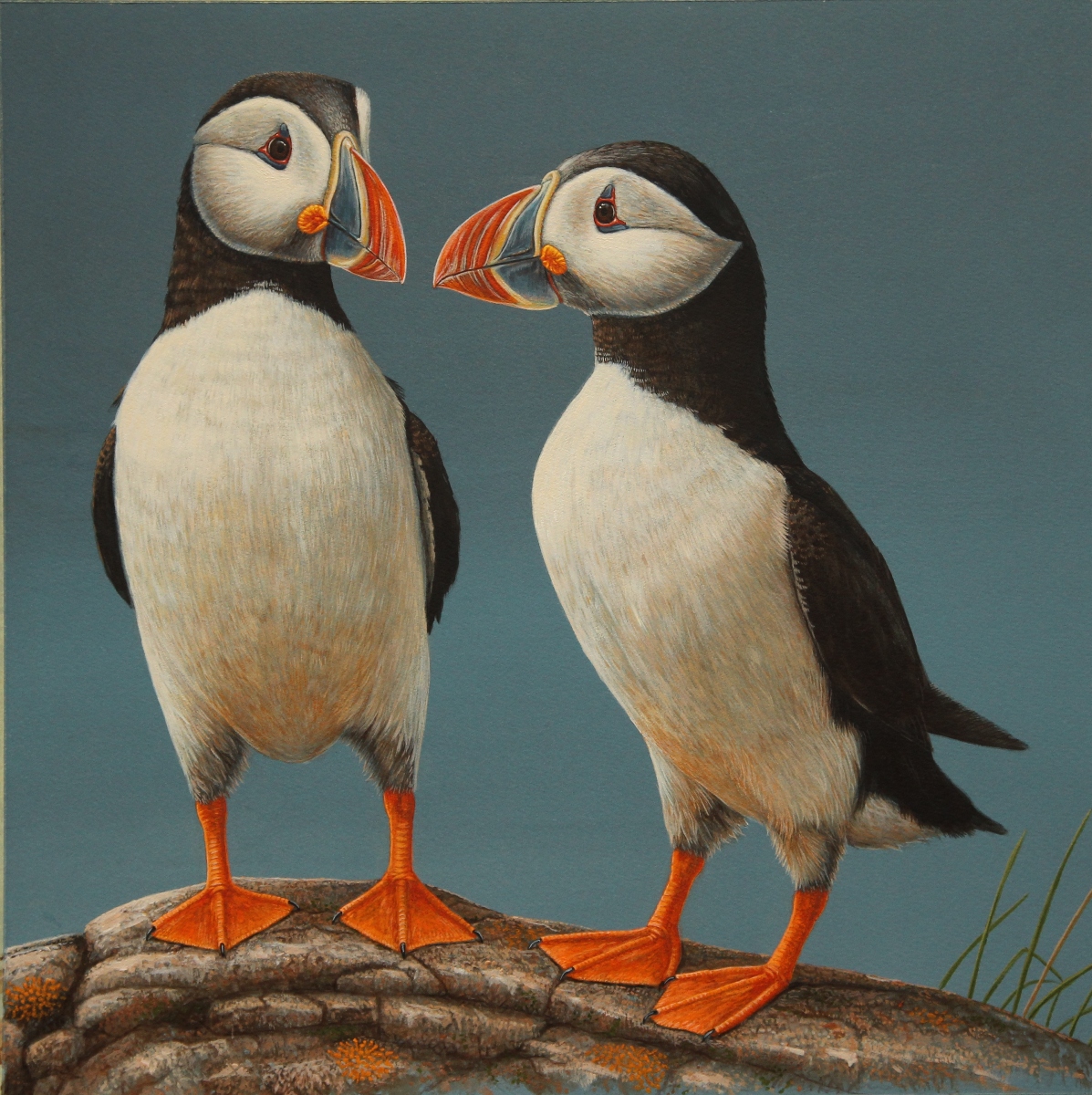 painting of two puffins beaks almost touching