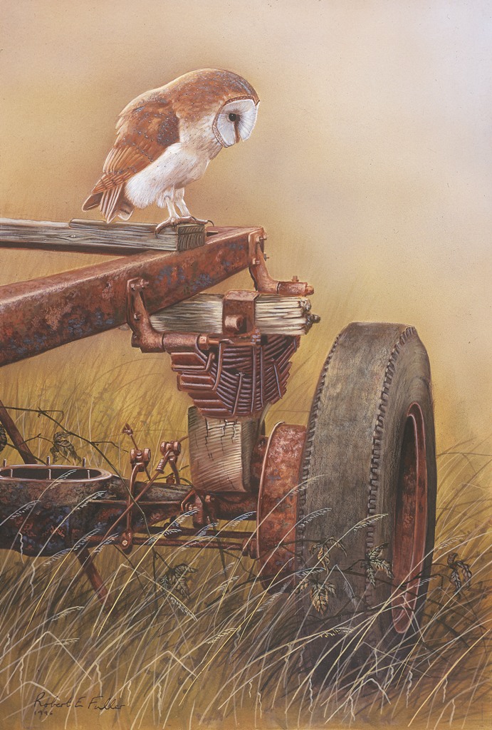 owl art print by robert e fuller showing barn owl perched on an old rusting trailer