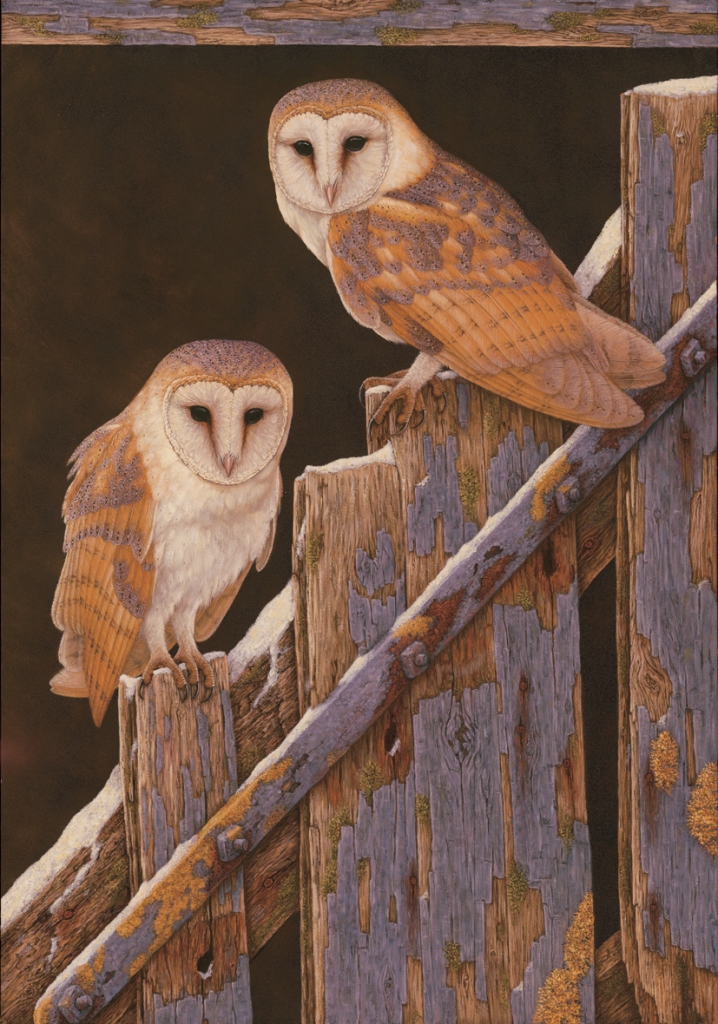 art print with two barn owls perched on stable door at duggleby