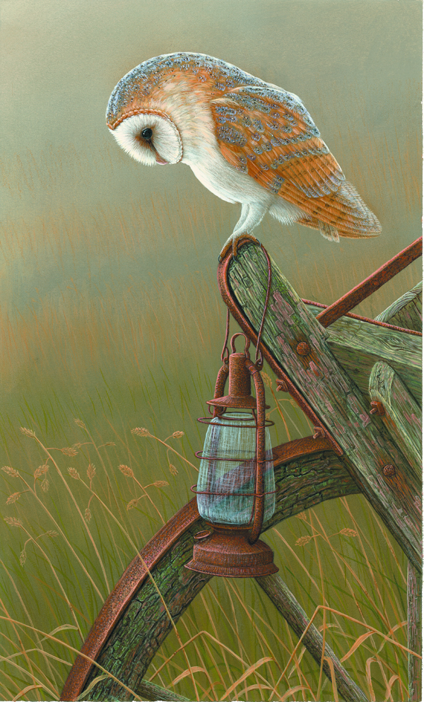 owl art print by robert e fuller showing a barn owl resting on an old cart with a storm lamp below