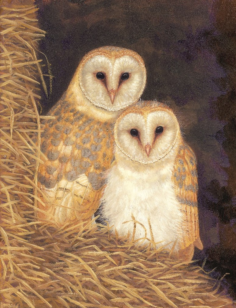 owl art print by robert e fuller showing two barn owl chicks huddled together on a bale of straw