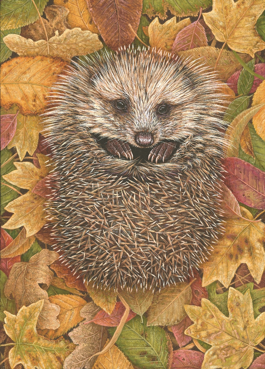hedgehog painting of the week
