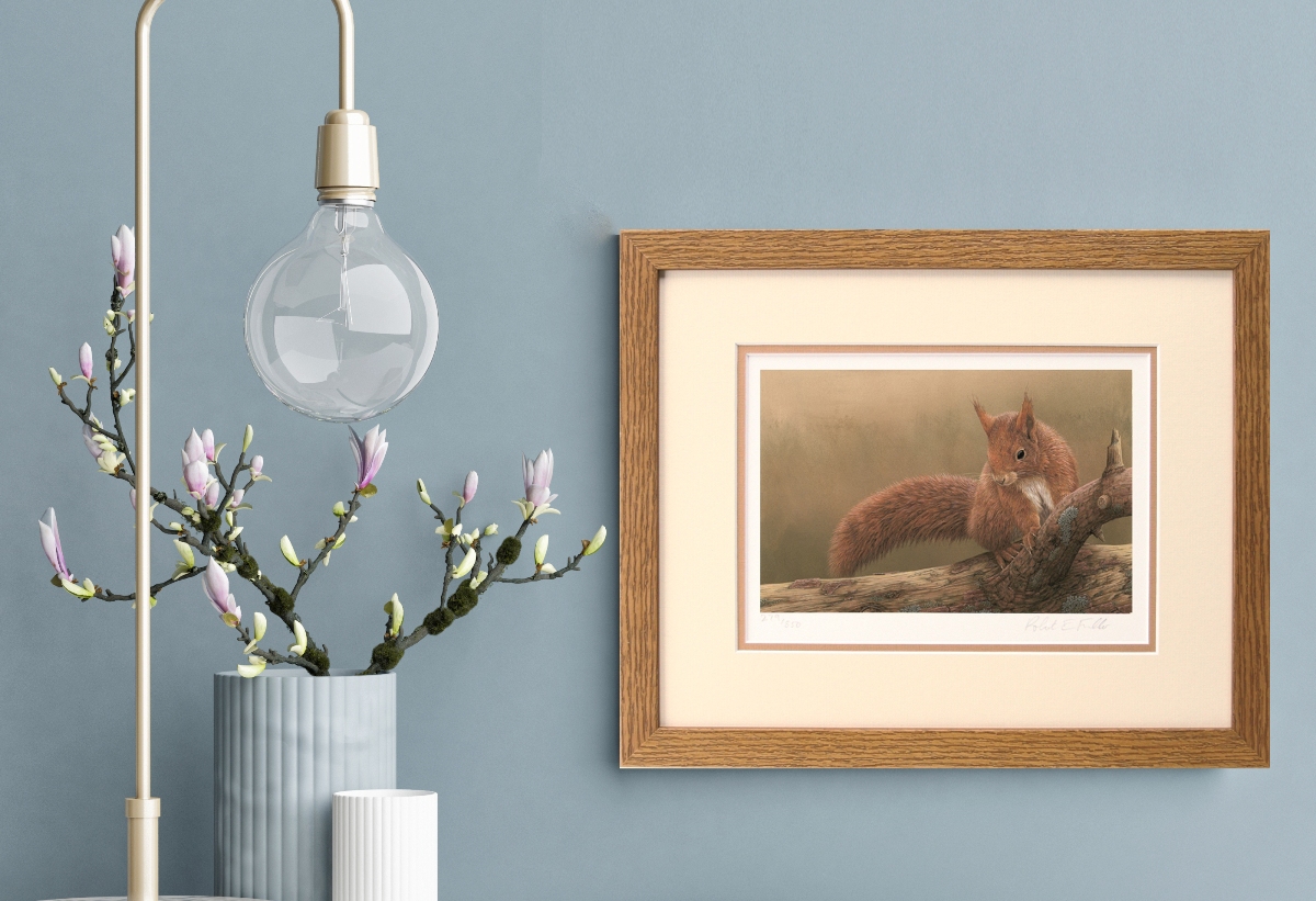 framed art print featuring red squirrel 