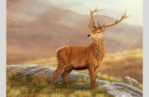 natural wildlife treasure in art red stag