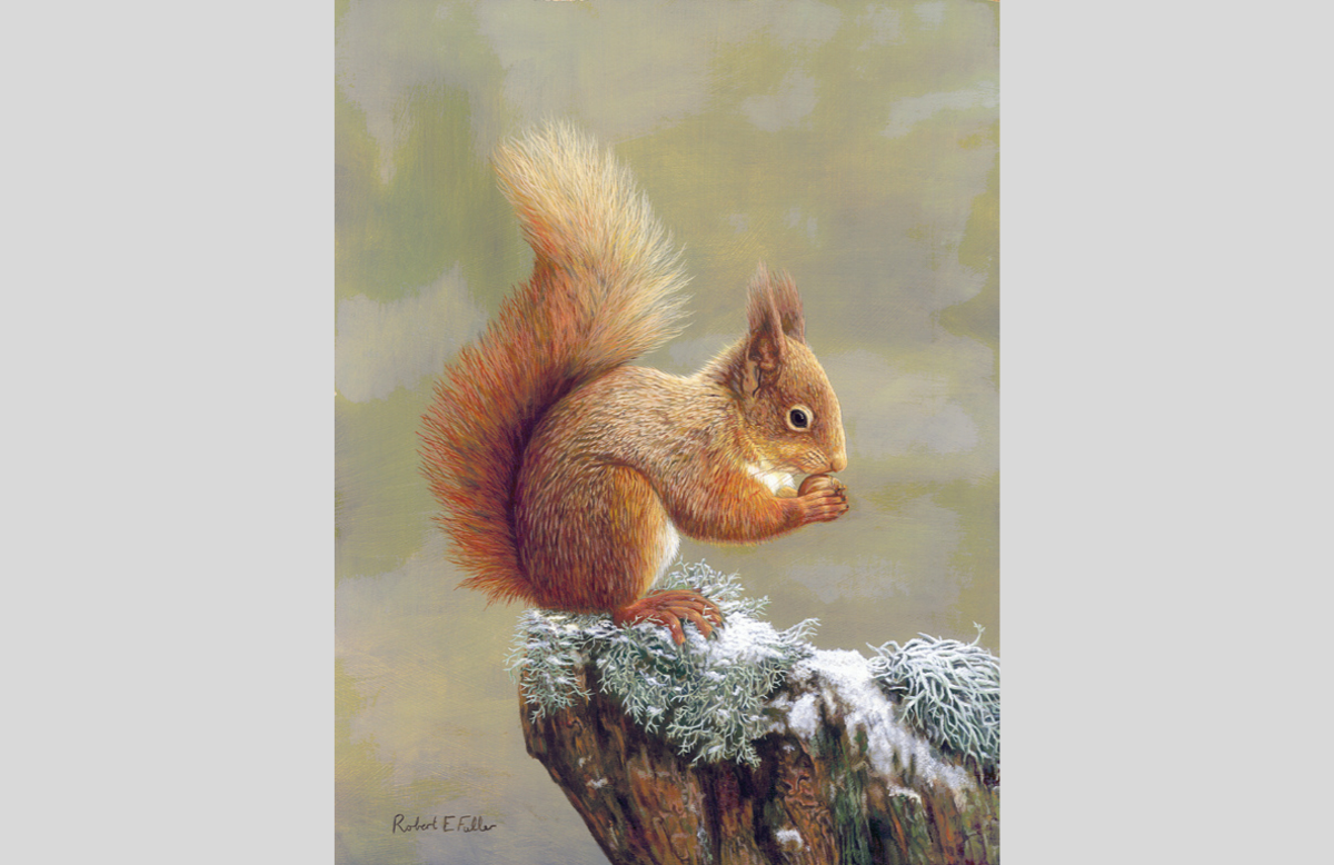 natural treasure in art red squirrel