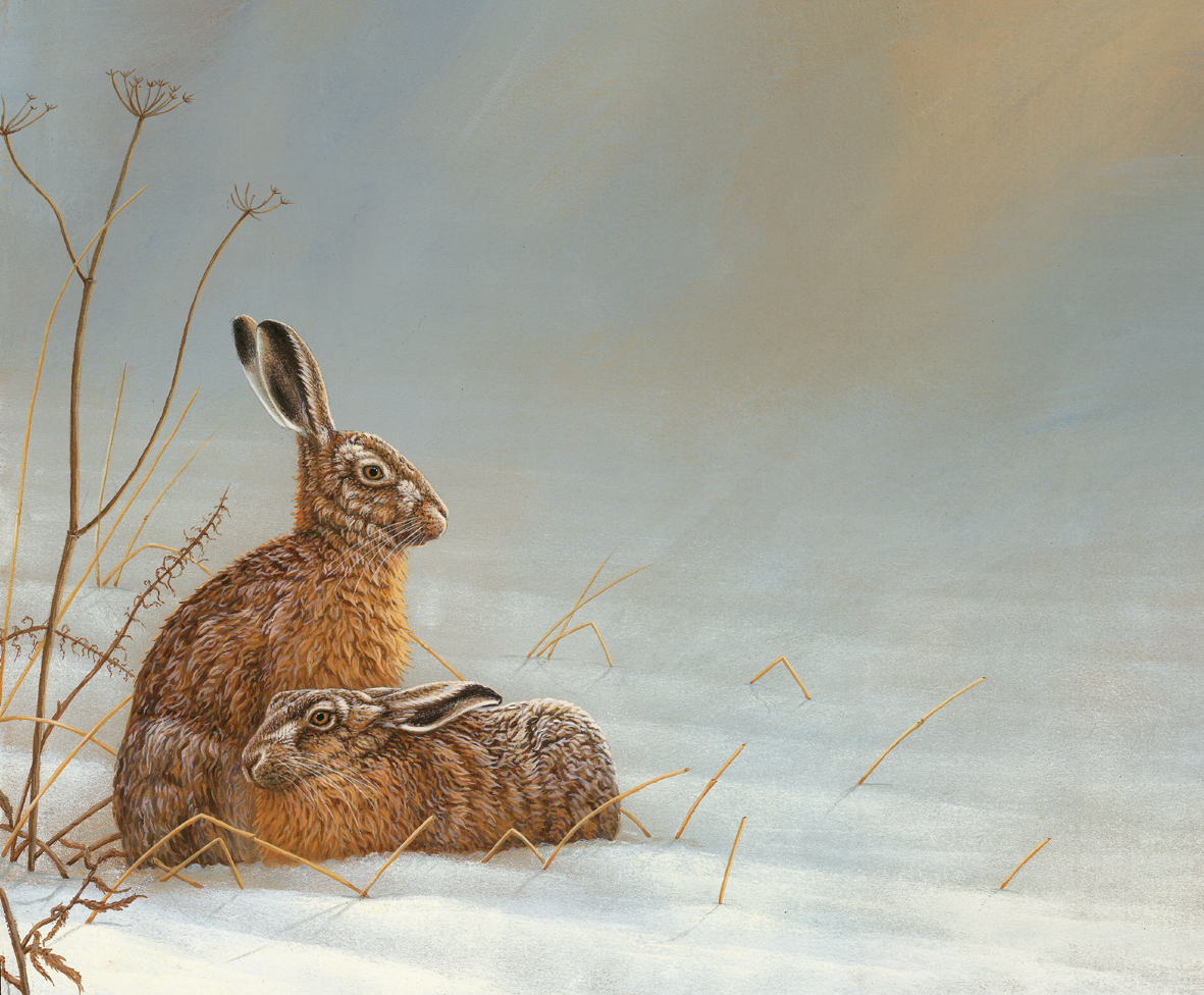 original hare painting