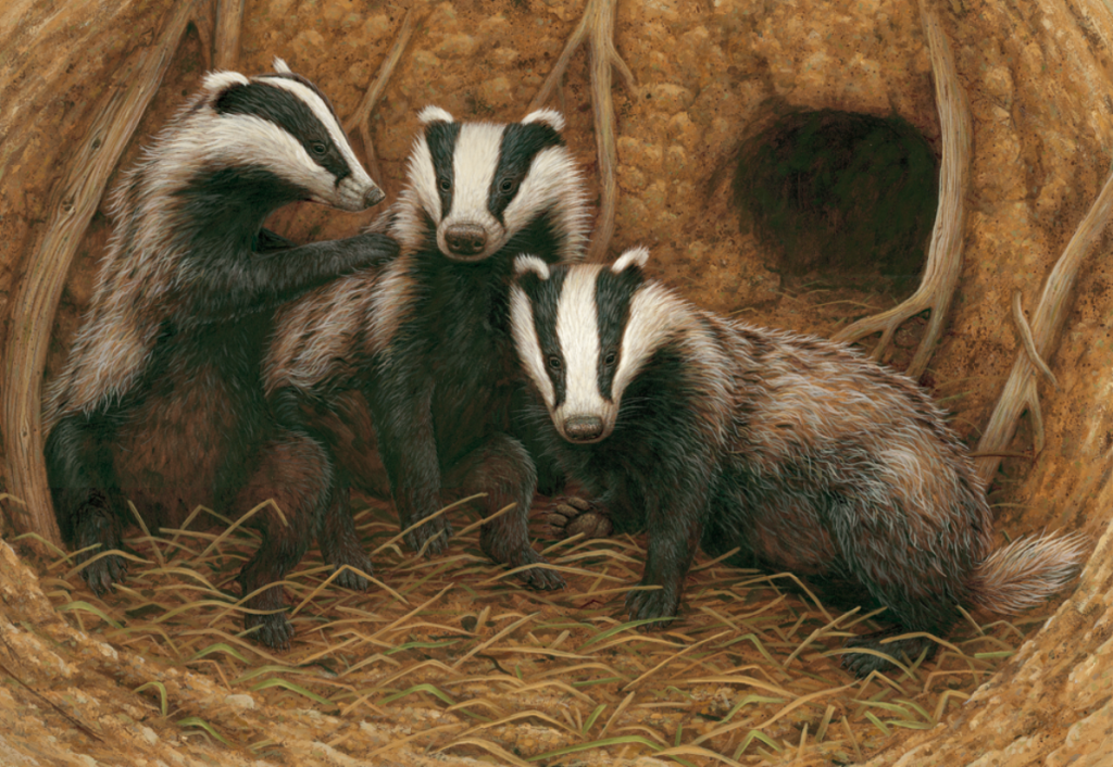 painting of badgers underground