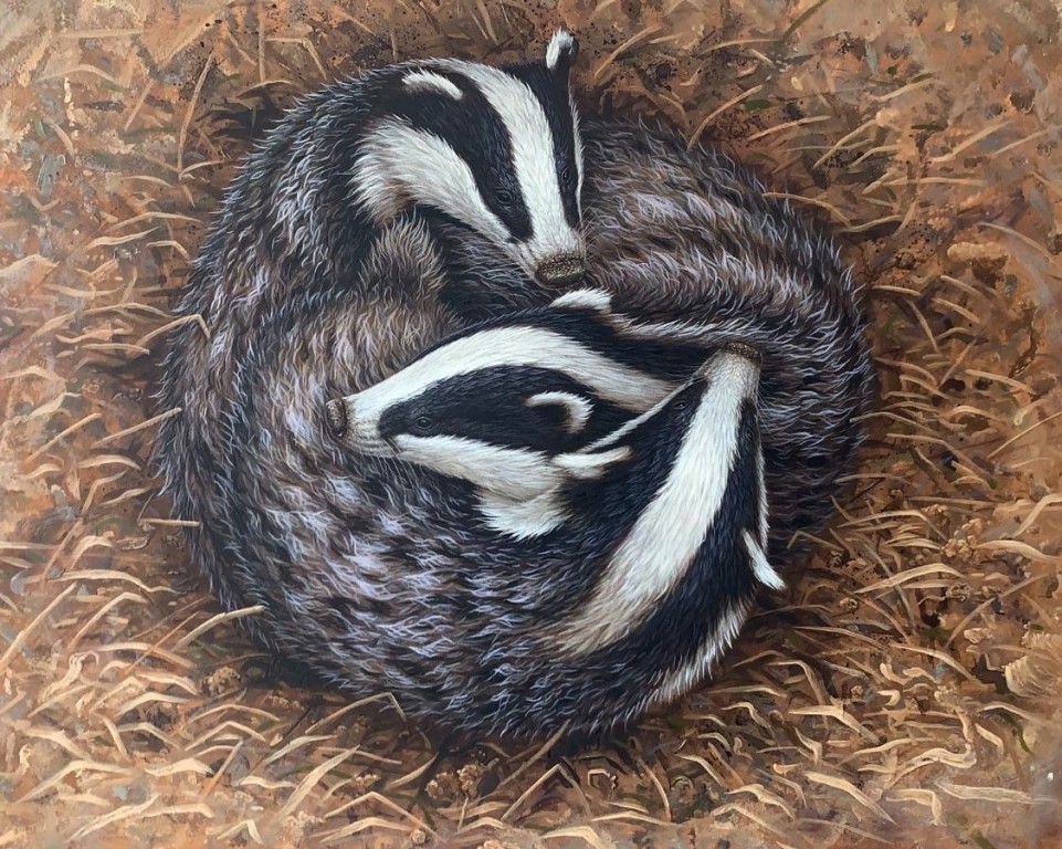 badger painting underground