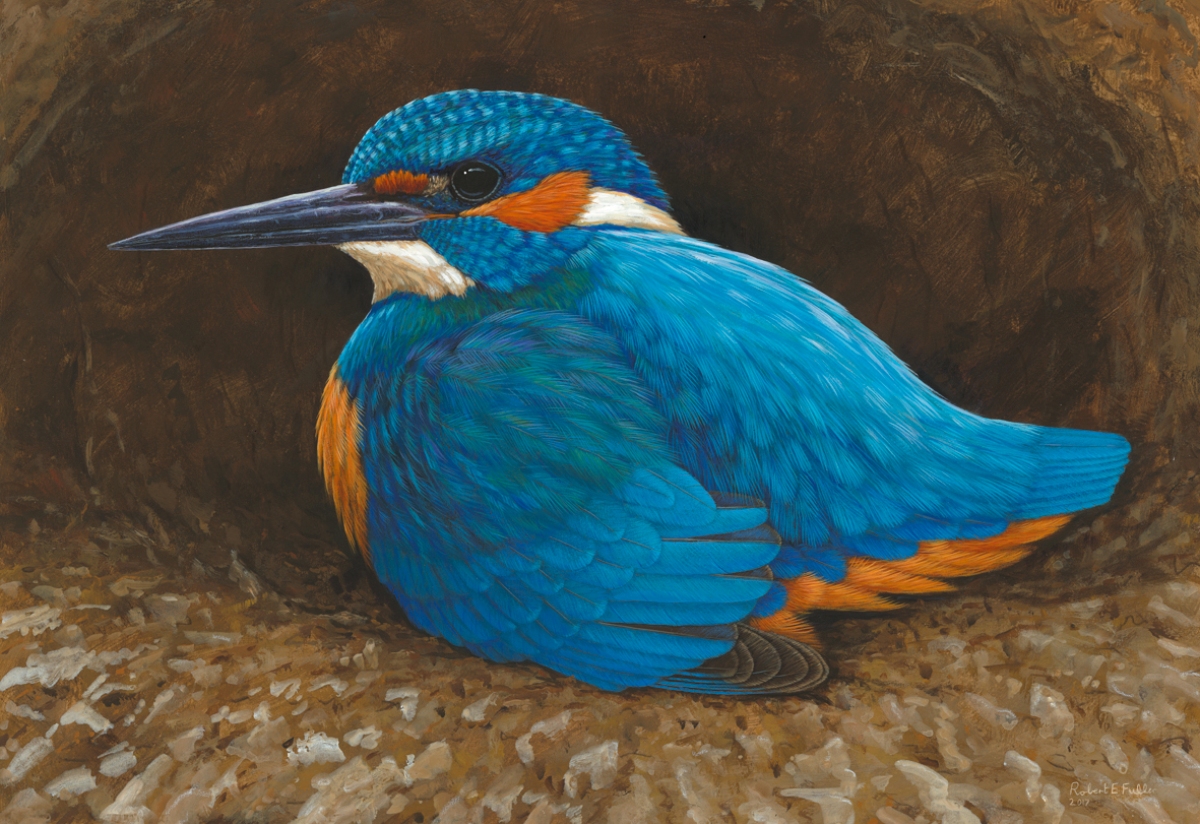 kingfisher artwork