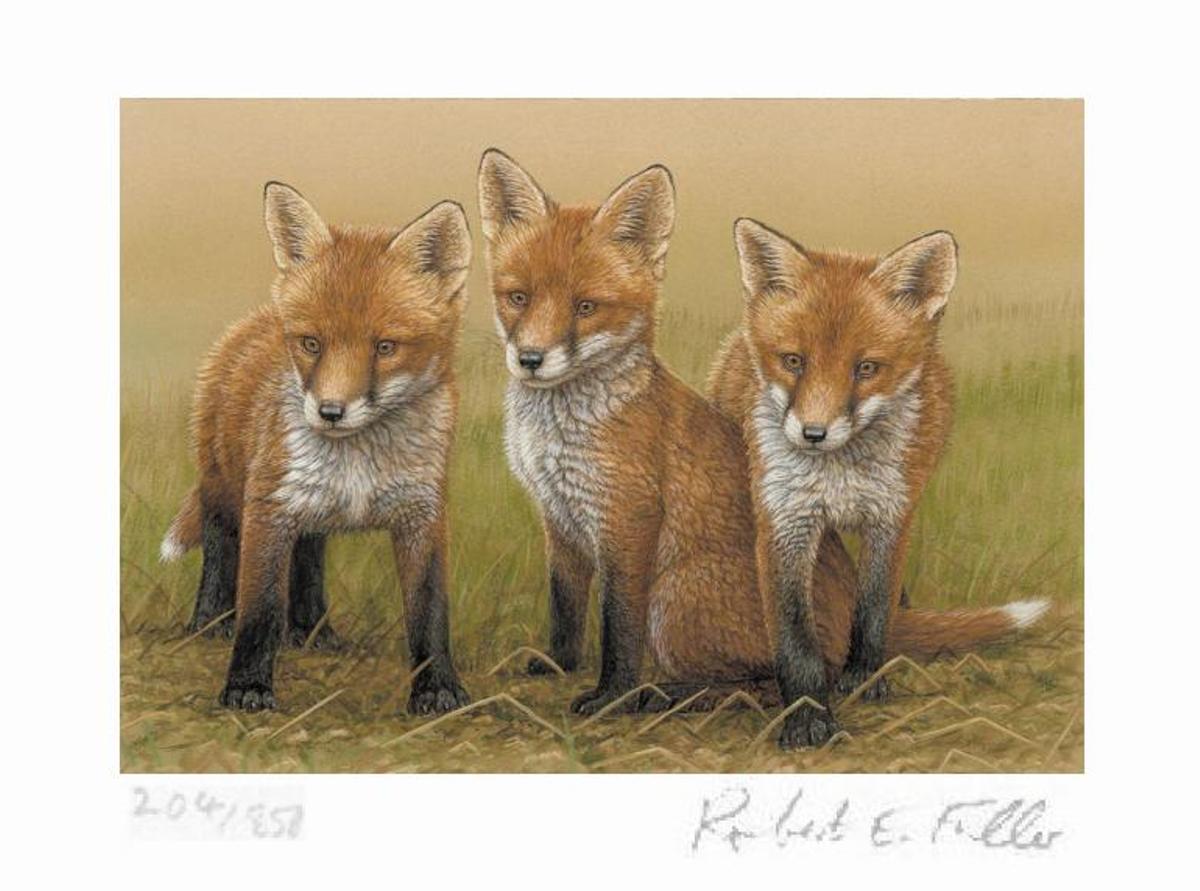 painting of the week fox
