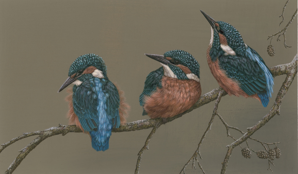 kingfisher chicks painting