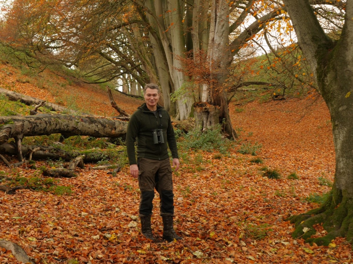wildlife artist Robert E Fuller walking through Yorkshire Wold woodland in autumn
