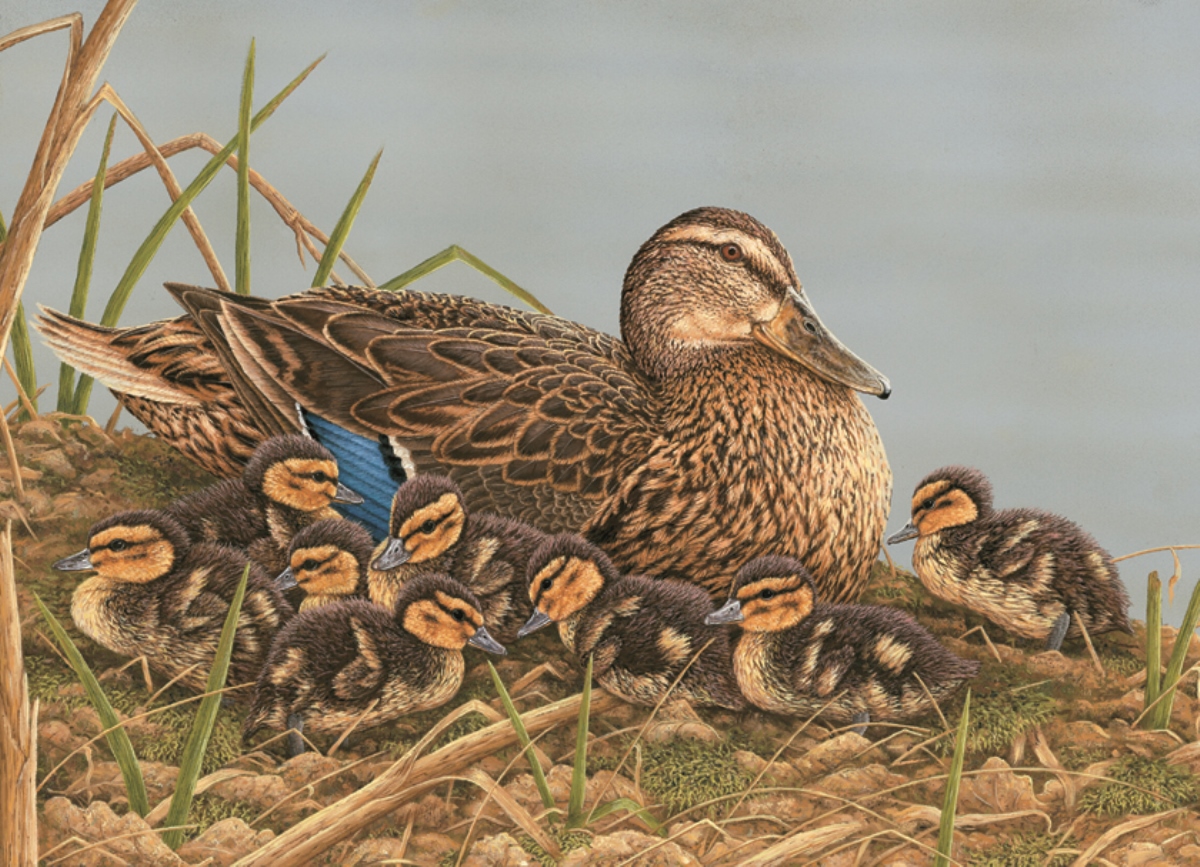 ducklings and mother duck painting