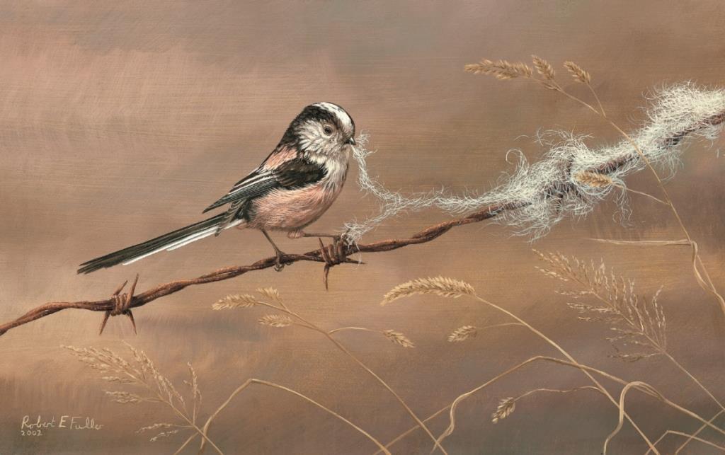 painting of a long tailed tit with wool