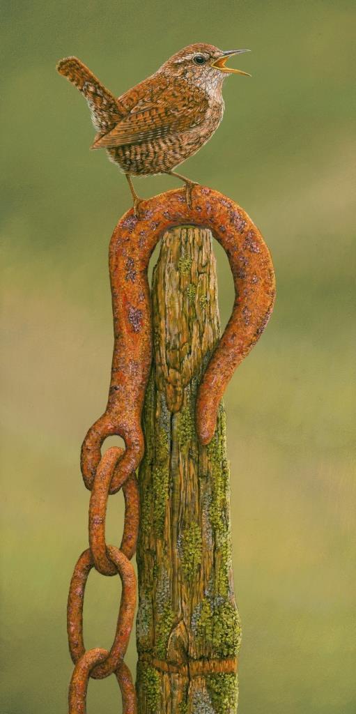 painting of wren on rusty fence hook
