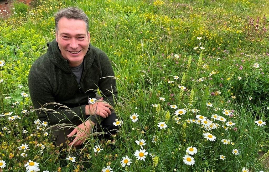 artist robert e fuller in field of wildflowers