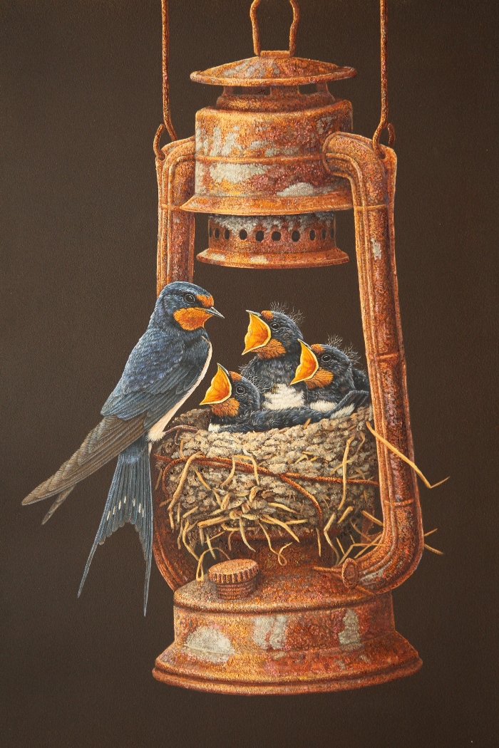 painting of swallow feeding its chicks in nest built in old storm lamp