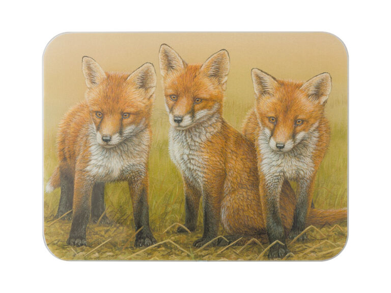 A glass worktop saver featuring three Fox Cubs by wildlife artist Robert E Fuller